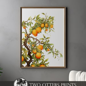 Watercolor Orange Tree Art Print | Fruit Tree at Harvest Time