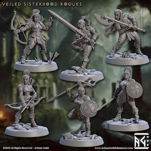 Veiled Sisterhood Rogues by Cast n Play - 12 Variations & Modular Design!