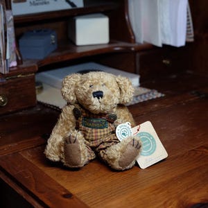 Pode incluir: Um urso de pelúcia com pelo castanho claro, usando um macacão xadrez. O urso tem um nariz preto e patas castanhas. Uma etiqueta está presa ao urso. O urso está sentado em uma mesa de madeira.