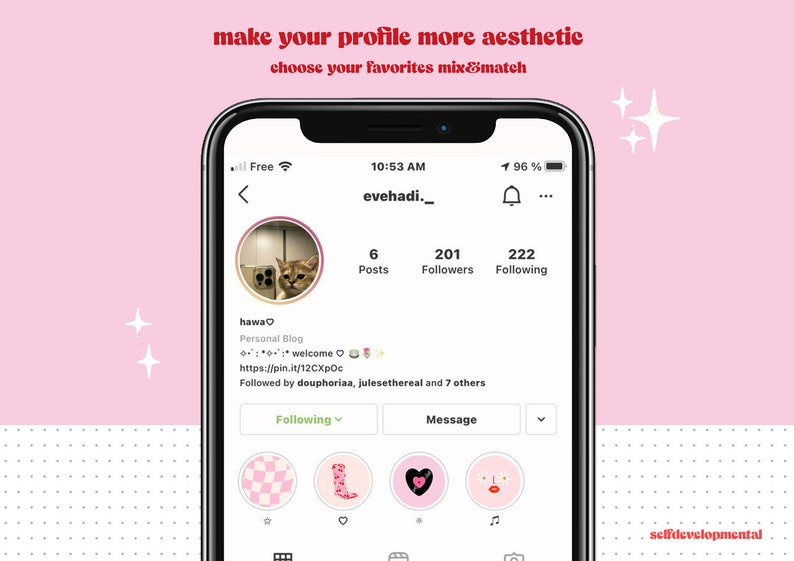 May include: A screenshot of an Instagram profile page with the username "evehadi._" and a profile picture of a cat. The profile has 6 posts, 201 followers, and 222 following. The profile bio says "hawa♡ Personal Blog :: welcome https://pin.it/12CXpOc Followed by douphoriaa, julesethereal and 7 others". The profile has four highlighted icons, one with a checkered pattern, one with a pink sock, one with a pink heart, and one with a pink face with eyelashes.