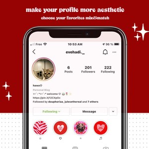 May include: A screenshot of an Instagram profile page with the username "evehadi._". The profile picture is a cat with a white and brown coat. The profile has 6 posts, 201 followers, and 222 following. The text "make your profile more aesthetic choose your favorites mix&match" is displayed at the top of the image.
