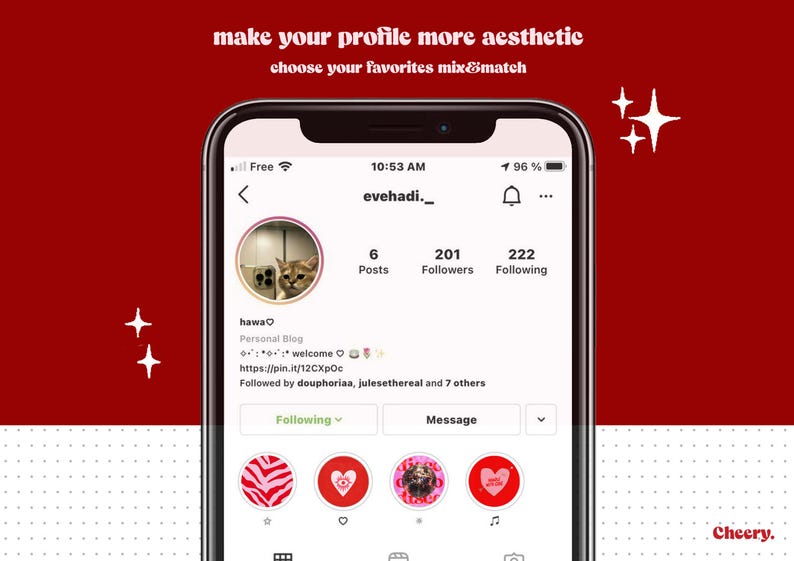 May include: A screenshot of an Instagram profile page with the username "evehadi._". The profile picture is a cat with a white and brown coat. The profile has 6 posts, 201 followers, and 222 following. The text "make your profile more aesthetic choose your favorites mix&match" is displayed at the top of the image.
