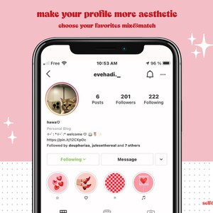 May include: A screenshot of an Instagram profile page with the username "evehadi._". The profile picture is a cat looking at the camera. The profile has 6 posts, 201 followers, and 222 following. The bio says "hawa♡ Personal Blog :: welcome https://pin.it/12CXpOc Followed by douphoriaa, julesethereal and 7 others". Below the bio are four icons: a heart with red hearts, a pair of red shoes, a red and white checkered pattern, and a red heart on a stick.