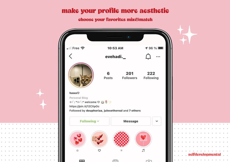 May include: A screenshot of an Instagram profile page with the username "evehadi._". The profile picture is a cat looking at the camera. The profile has 6 posts, 201 followers, and 222 following. The bio says "hawa♡ Personal Blog :: welcome https://pin.it/12CXpOc Followed by douphoriaa, julesethereal and 7 others". Below the bio are four icons: a heart with red hearts, a pair of red shoes, a red and white checkered pattern, and a red heart on a stick.