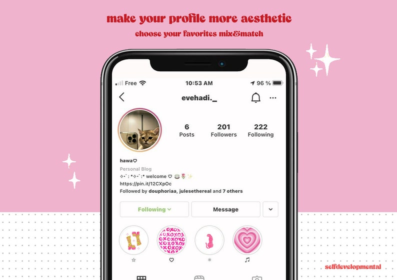 May include: A screenshot of an Instagram profile page with the username "evehadi._". The profile picture is a cat looking at the camera. The profile has 6 posts, 201 followers, and 222 following. The bio says "hawa♡ Personal Blog :: welcome https://pin.it/12CXpOc Followed by douphoriaa, julesethereal and 7 others". The profile has a row of five icons below the bio, including a star, a heart, a mermaid, a heart with a swirl design, and a music note.
