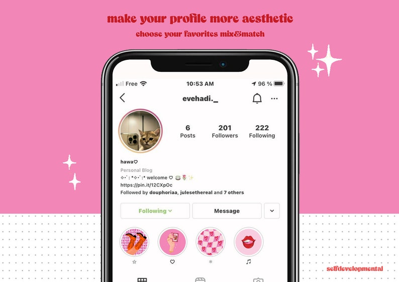 May include: A screenshot of an Instagram profile page on a smartphone. The profile name is "evehadi._" and the profile picture is a cat looking at the camera. The profile has 6 posts, 201 followers, and 222 following. The profile bio says "hawa♡ Personal Blog :: welcome https://pin.it/12CXpOc Followed by douphoriaa, julesethereal and 7 others". The profile has a row of four icons below the bio, each with a different design.