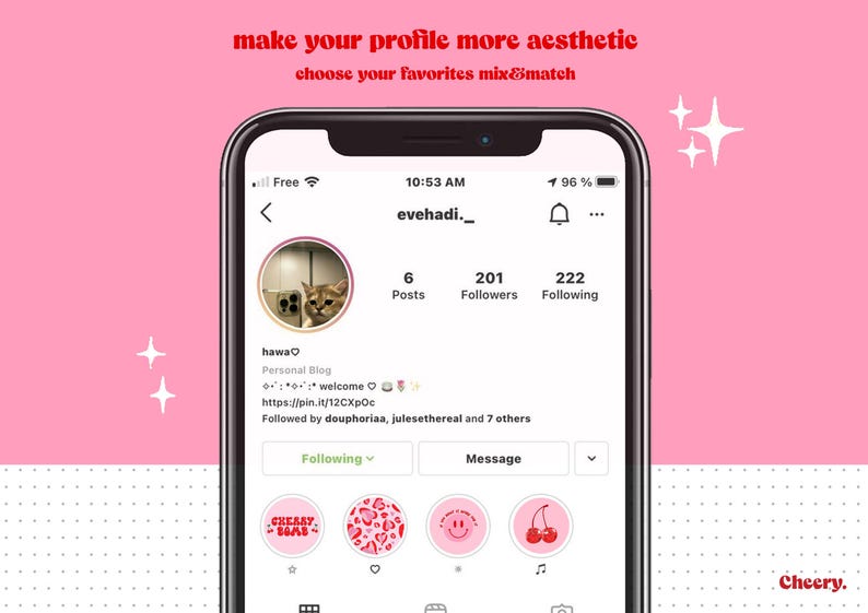 May include: A screenshot of an Instagram profile page with the username "evehadi._" and a cat photo as the profile picture. The profile has 6 posts, 201 followers, and 222 following. The text "make your profile more aesthetic choose your favorites mix&match" is at the top of the image. Below the profile information, there are five Instagram story highlights with icons of a cherry, a smiley face, a heart, a cat, and a cherry.