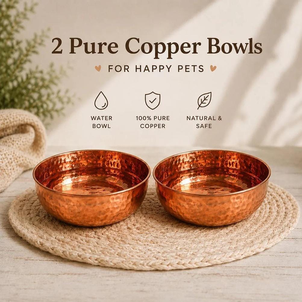 Set of 2 Personalized Hand Hammered Cat Small Dog Water Dish|solid