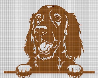 Irish Setter crochet afghan pattern graph