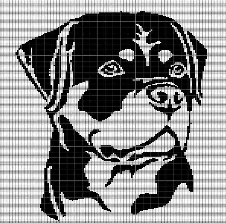 降谷KJ着❗️ROTTWEILER WOLF PACK アクリル ビーニー 黒 ジャックウルフスキン（JackWolfskin）（メンズ、レディース）ポー
