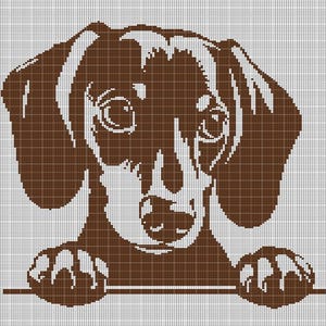 May include: A brown and white dachshund dog peeking over a surface with its paws on the surface. The dog has brown ears, a brown nose, and brown eyes.