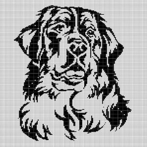 Bernese Mountain Dog 3 crochet afghan pattern graph