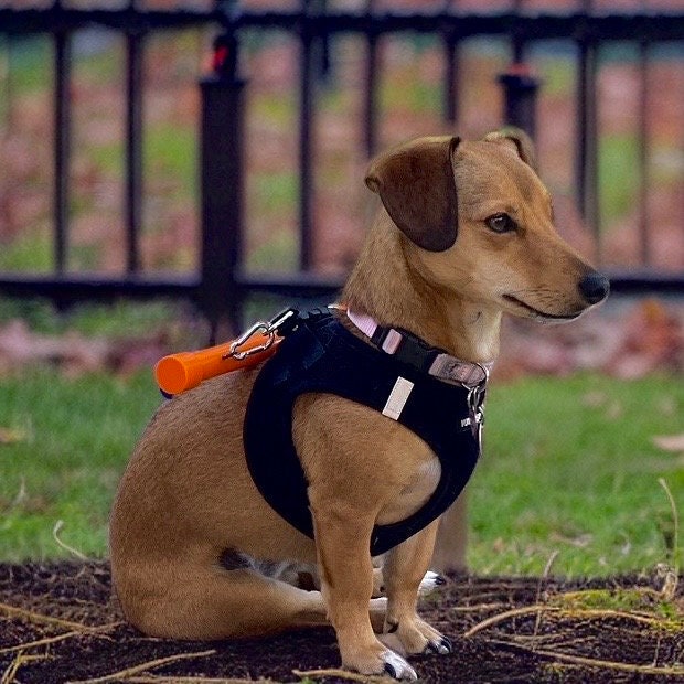 Picket Protector (Harness Not Included)