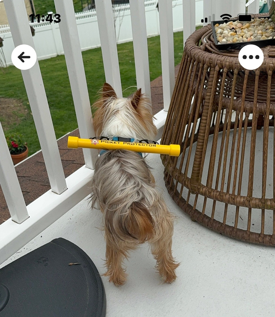 Picket Protector (Harness Not Included)
