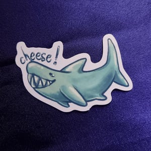 Stickers requin