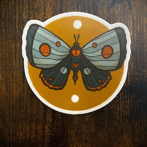 Vinyl Sticker- Cozy Moth | Waterproof Sticker