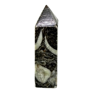Puede incluir: Una piedra preciosa rectangular pulida con una parte superior puntiaguda. La piedra presenta una mezcla de patrones negros, grises y blancos, con un prominente diseño blanco en forma de concha. La piedra preciosa es un objeto decorativo.