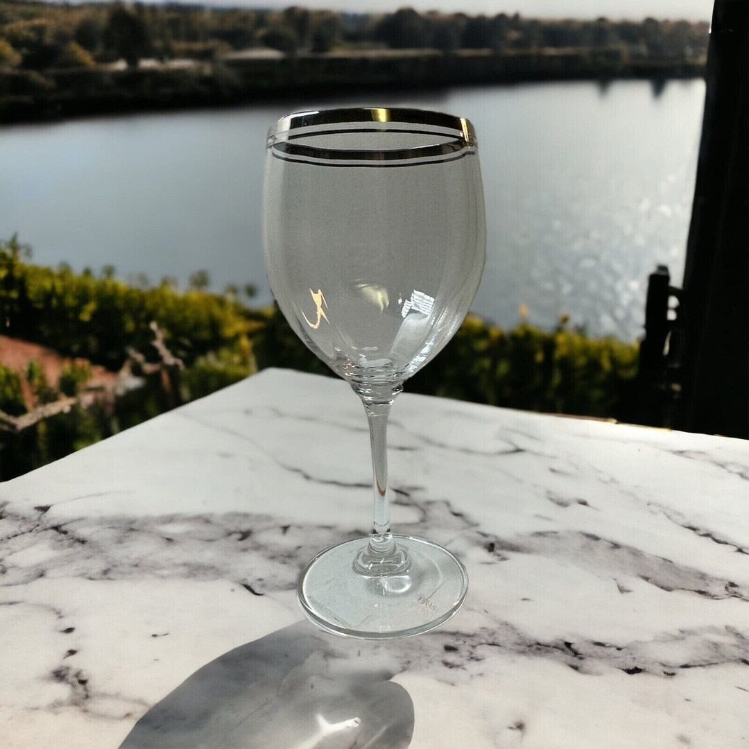 Mikasa Stephanie Platinum Trimmed Water Goblets New in Box Set Etsy