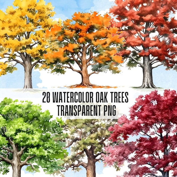 Watercolor Oak Trees. Greenery. Oak Tree clipart png bundle. Commercial use. Autumn Forest clip art. Landscape art. Digital prints.