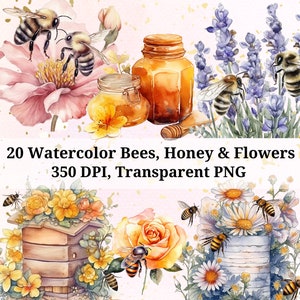 Aquarel honingbij clipart, transparante png-bundel, bijen en bloemen, honingraat, wilde bloem, hommel, honing, bijenkorf, 350 DPI commercieel gebruik