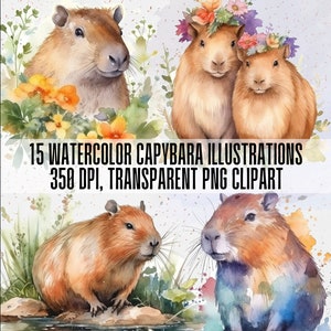15 ilustraciones de capibaras en acuarela. Imágenes prediseñadas de capibaras lindas, amor, naturaleza, corona de flores, retrato de animales, PNG transparente. Uso comercial
