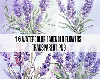 Akvarell lavendel PNG-paket: Provence-klippkonst (digital nedladdning)