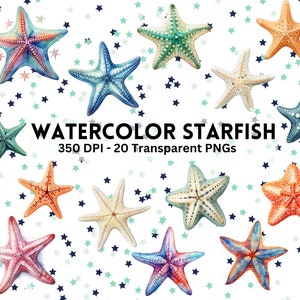Watercolor Starfish Clipart, Colorful Seastars, Marine life decor, sea creatures, ocean animal art. Commercial Use Transparent PNG bundle.