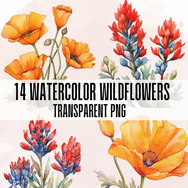 14 Wild Flower Elements Clipart PNG Bundle. Orange Poppy and Indian Paintbrush. Wild Flower Clipart Prints. Commercial Use Floral Clipart.