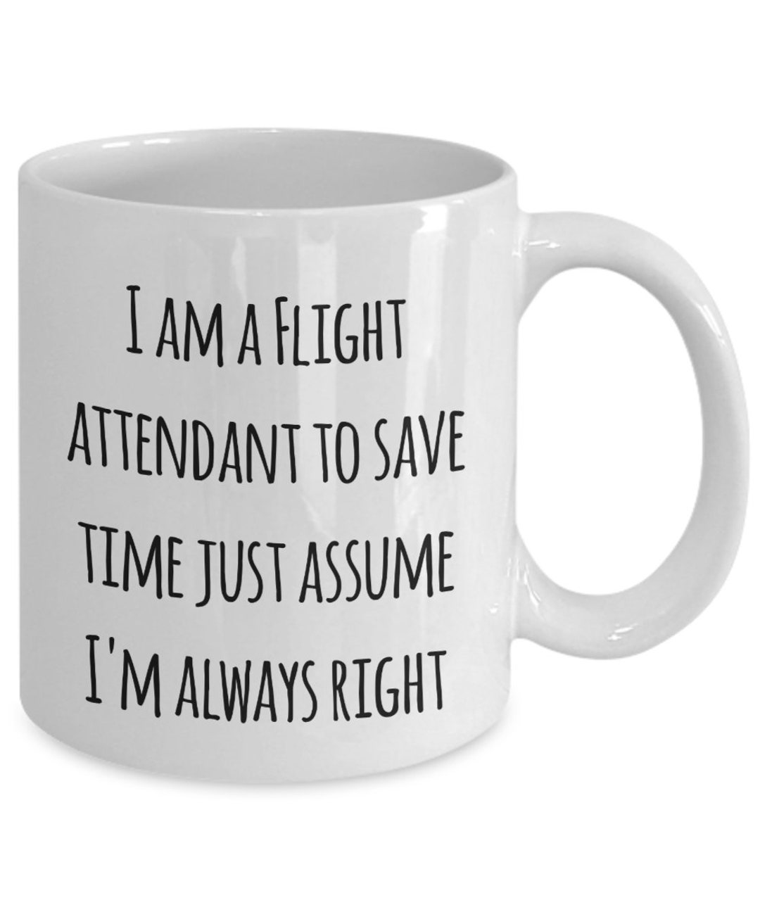 So You Want To Be A Flight Attendant Flight Attendant Etsy