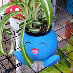 May include: A blue, smiling, cartoon-like planter pot with a spider plant. The pot has a happy face and is covered in water droplets. The spider plant has long, green and white striped leaves. Other plants are visible in the background.