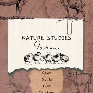 Nature Studies- Farm