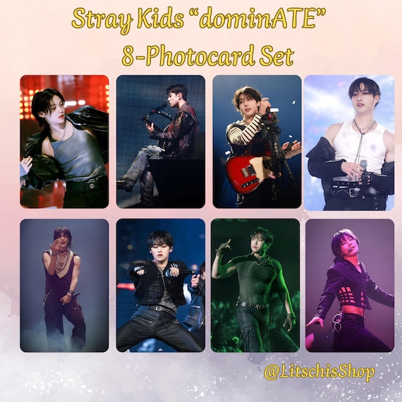Stray Kids OT8 Fanmade Photocards 