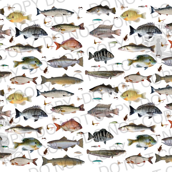 Fresh Water Fish Pattern Realistic Fish & Lures Flys  PNG Graphic Digital Download Fishermen Lures Hooks Spinners Fly Fish Angler Fishing