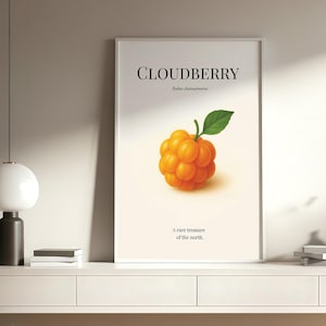 May include: A framed art print featuring a vibrant illustration of a cloudberry, with the text "CLOUDBERRY" at the top and "A rare treasure of the earth" at the bottom. The cloudberry is a cluster of orange berries with a green leaf.