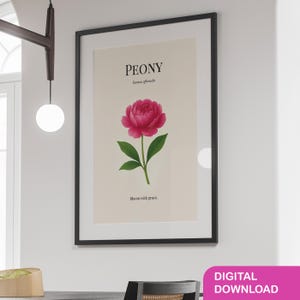 Peony Botanical Art Print – Digital Download | Vintage Floral Poster, Silk Flower Wall Decor, Cottagecore Garden Art Gift
