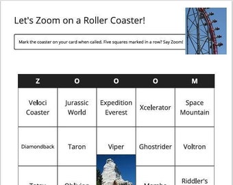Zooooom!!! Roller Coaster Bingo!