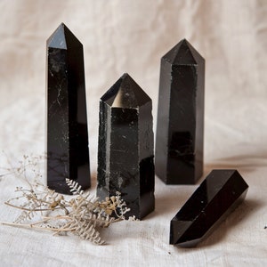 May include: Four polished black tourmaline crystal obelisks of varying heights and shapes. The crystals are faceted and reflect light, with a natural, raw texture on one. A small sprig of dried foliage rests in front.