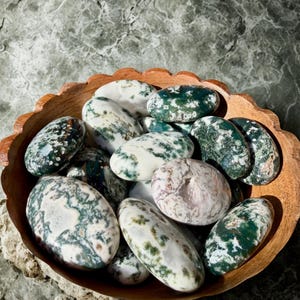 May include: A wooden bowl filled with polished tree agate stones. The stones are oval-shaped, with a mix of white, green, and brown patterns. The bowl has a scalloped edge and sits on a textured surface.