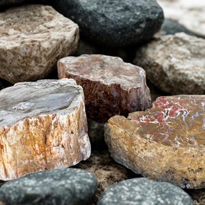 May include: A collection of various rocks and stones in shades of gray, brown, and tan. Some stones have a polished, cut appearance, revealing intricate patterns and colors. The arrangement suggests a natural, earthy theme, suitable for decorative or craft purposes.