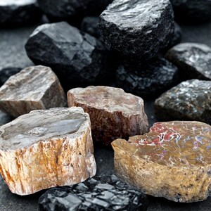 May include: A collection of various rocks and stones, showcasing a range of colors and textures. The image features dark gray, black, brown, and tan stones, some with visible patterns and crystalline structures. The stones are arranged on a dark surface.