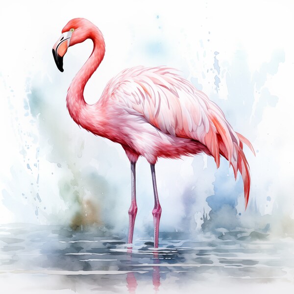 Flamingo Watercolor Painting - Digital Art Print on White Background – Pink – Wildlife – Elegant - Beautiful - gift - Legs -  cool