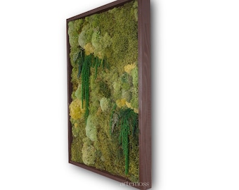 Mos kunst aan de muur | Mos wanddecoratie | Bewaarde Moss Art ingelijst | Mos Wandsets | Mos Geen onderhoud nodig Mos "Living" Wall ~ mos natuur