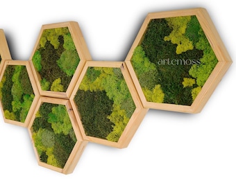 Paneles de pared Moss Hexagon hechos con musgo real No requiere mantenimiento Moss "Living" Wall ~ "Moss mix"