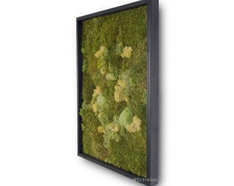 Mos kunst aan de muur | Mos wanddecoratie | Bewaarde Moss Art ingelijst | Mos Wandsets | Mos Geen onderhoud nodig Mos "Living" Wall ~ mos natuur