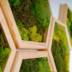 Moss Hexagon Wandpanelen gemaakt met echt mos Geen onderhoud nodig Moss Living Wall Moss mix afbeelding 4