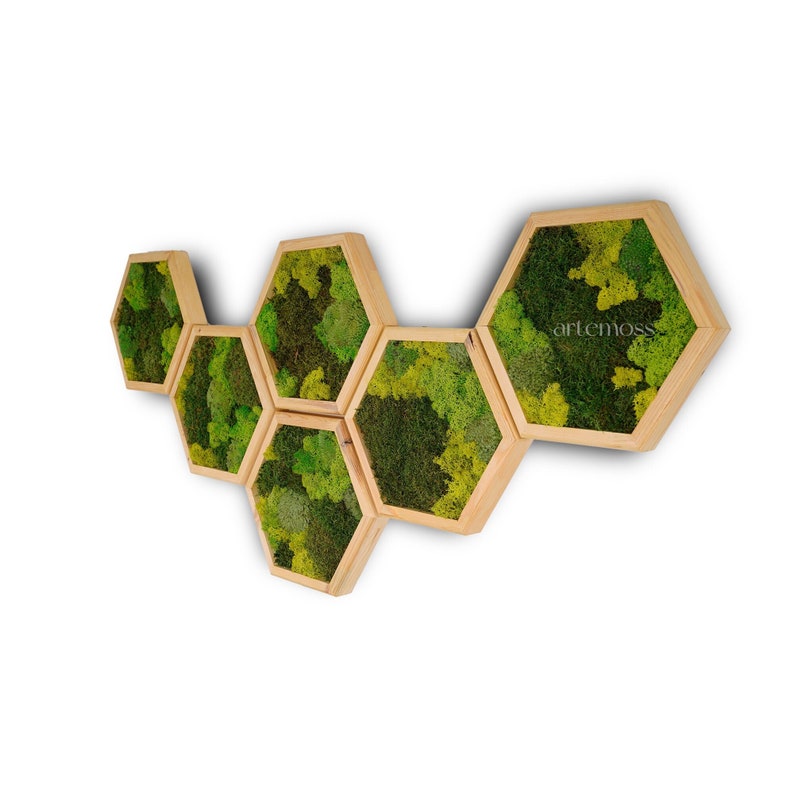 moss wall art,wall art,moss,moss art,moss,wall decor,hexagon