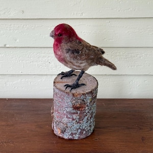 Needle Felted House Finch Sculpture: Wool Bird Figurine