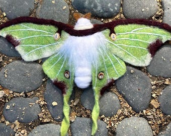 Needle Felted Luna Moth - Etsy