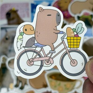 May include: A sticker featuring a cartoon capybara riding a pink bicycle with a yellow basket filled with bread and vegetables. A small companion sits on the back of the bike. The sticker has a white border.