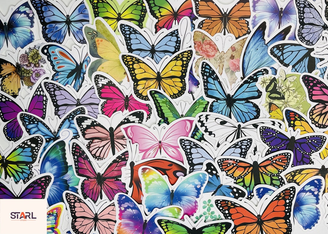 Butterfly Stickers: Waterproof Vinyl Decals for Laptop, Hydro Flask (10 ...